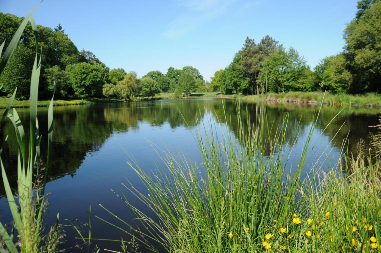 Vakantiepark Domaine Melusine - A 2km Du Puy Dufou France ! 4*